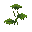 Small Dripleaf