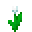 White Tulip